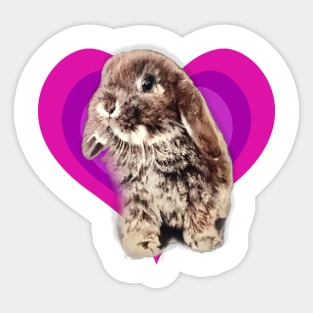 Super cute 3D baby mini lop rabbit on a rainbow heart! Sticker